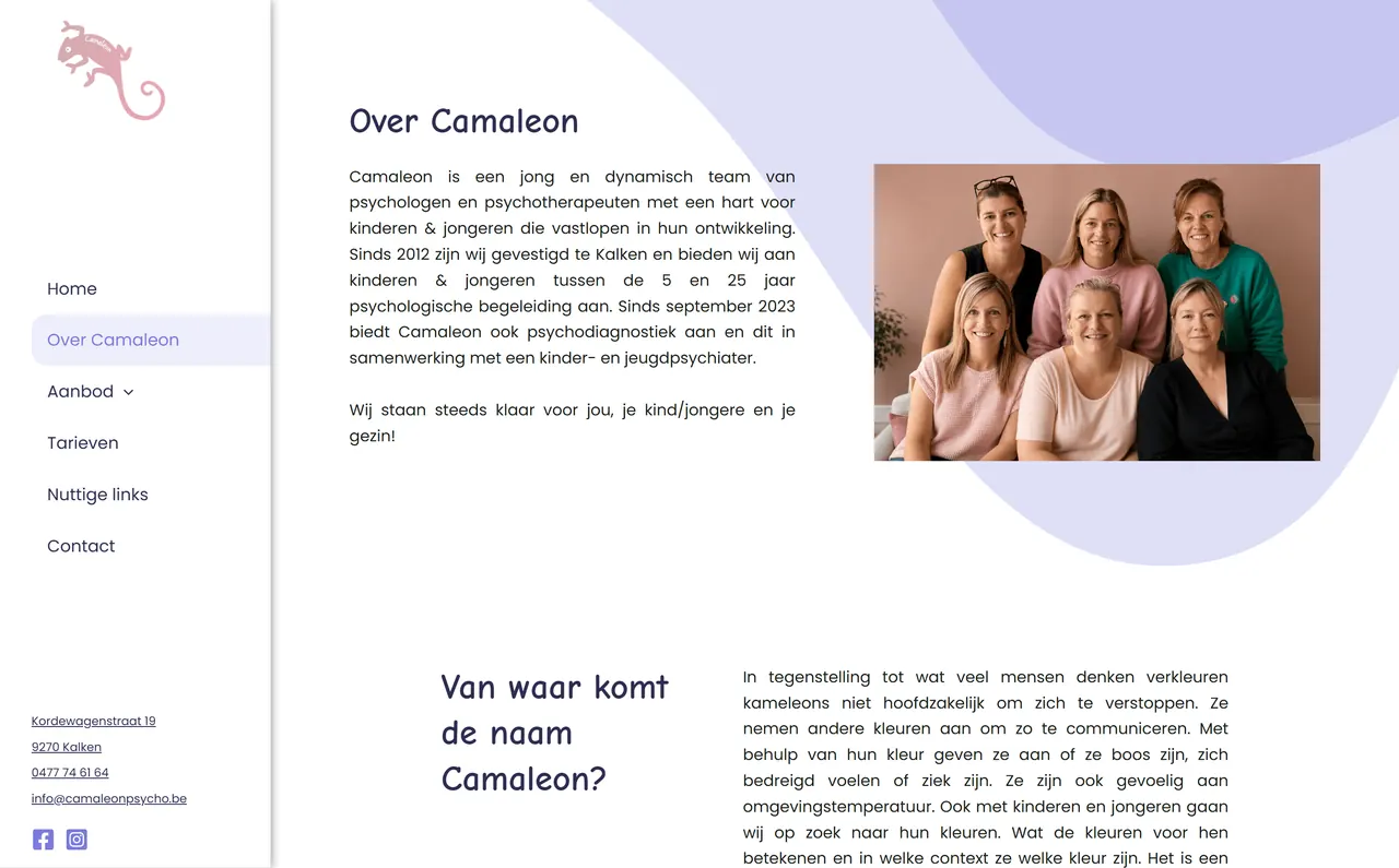 Pagina over het team van Camaleon
